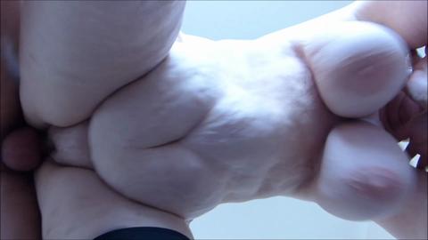 33529