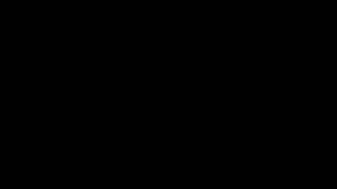 23366
